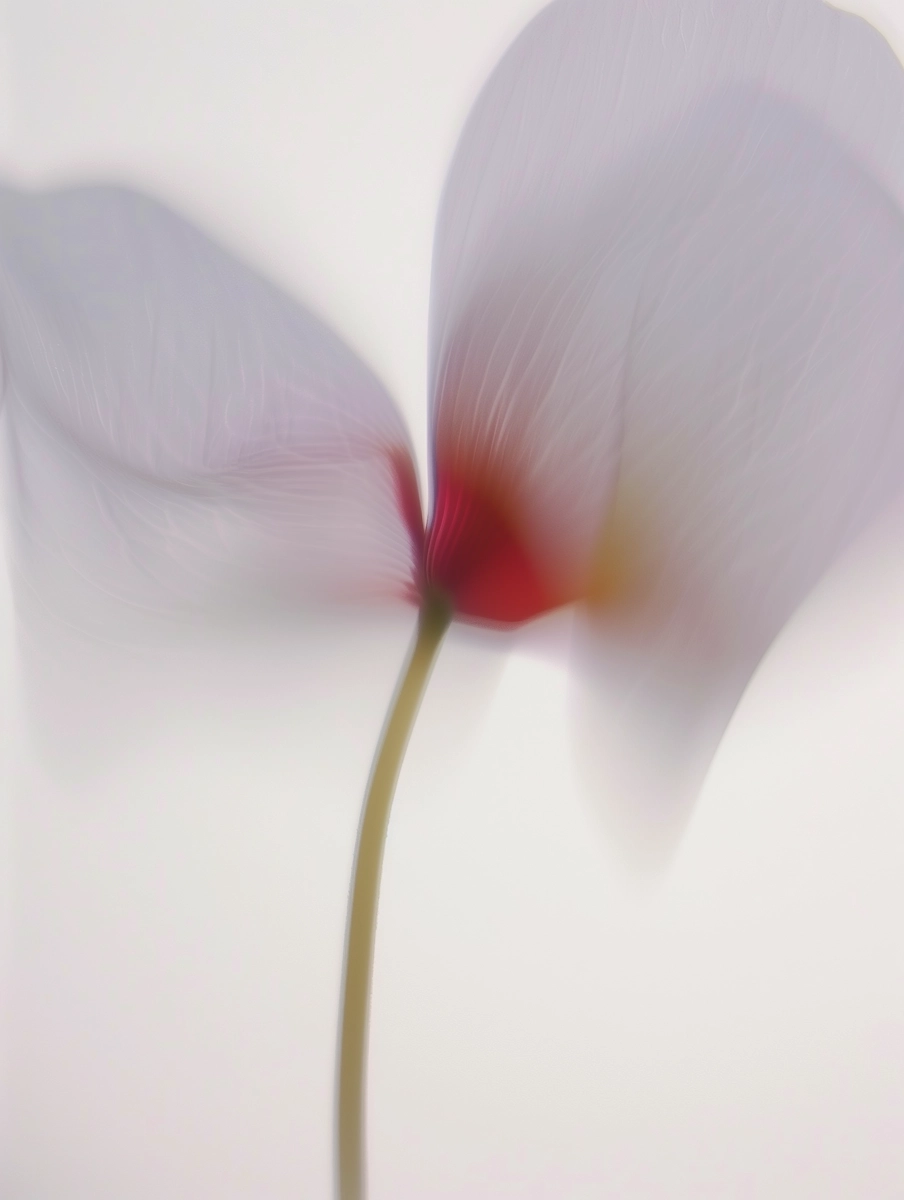 Artwork 10