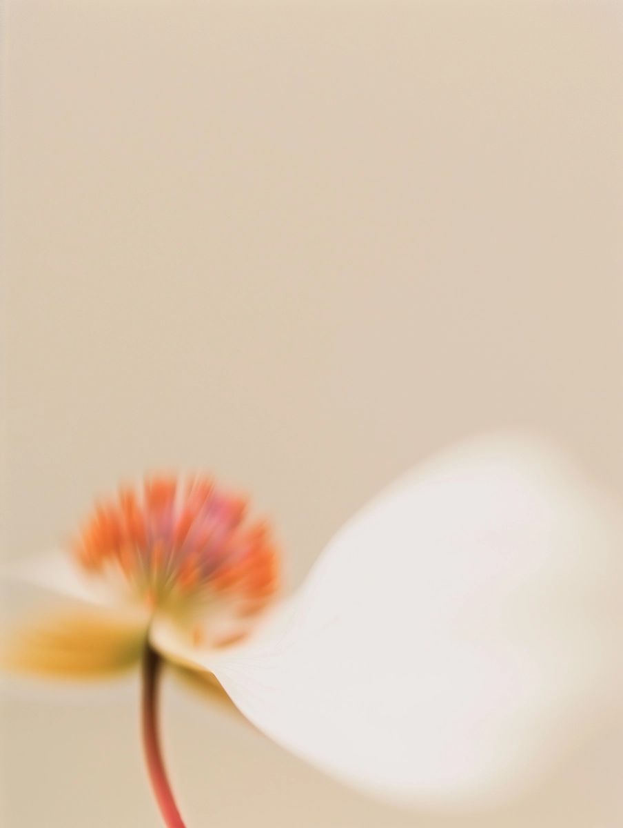 Artwork 11