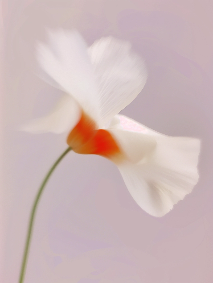 Artwork 12