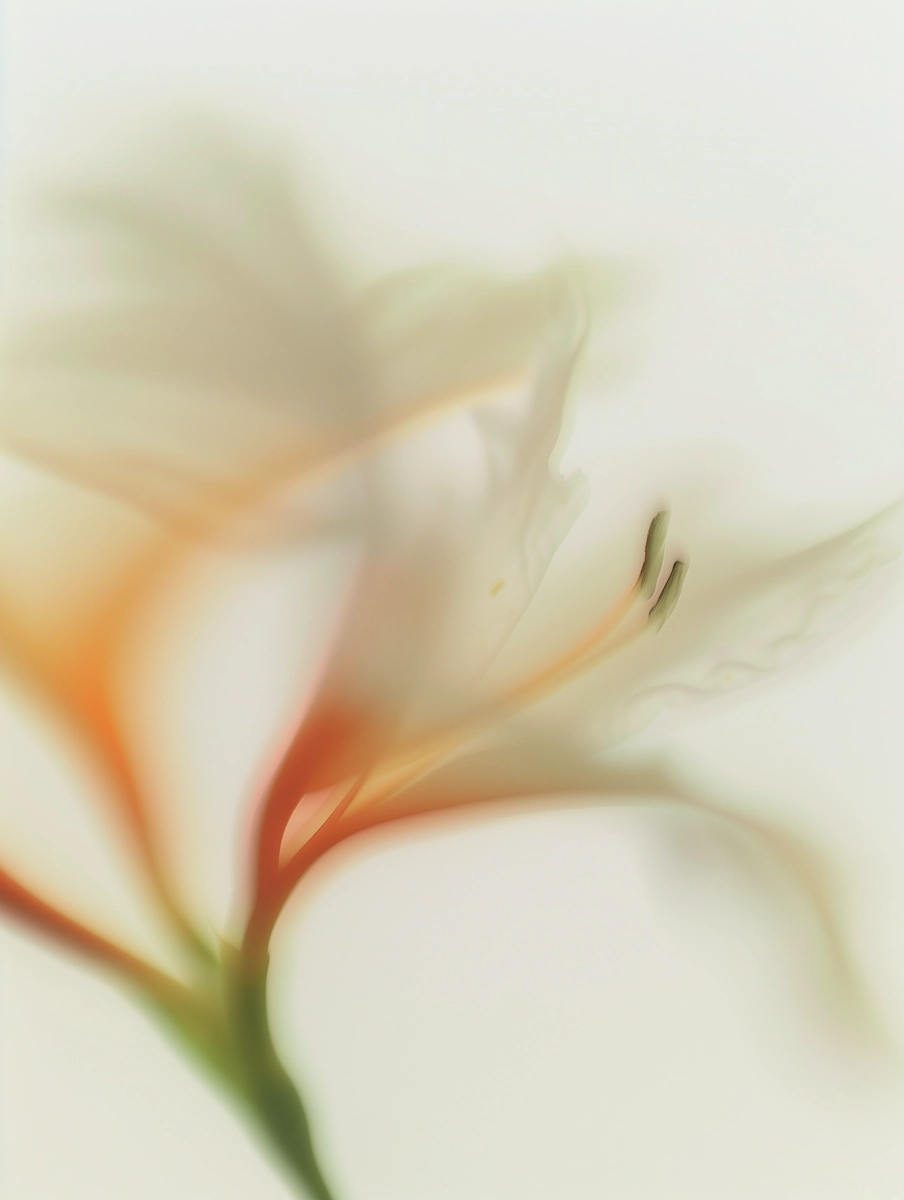 Artwork 2