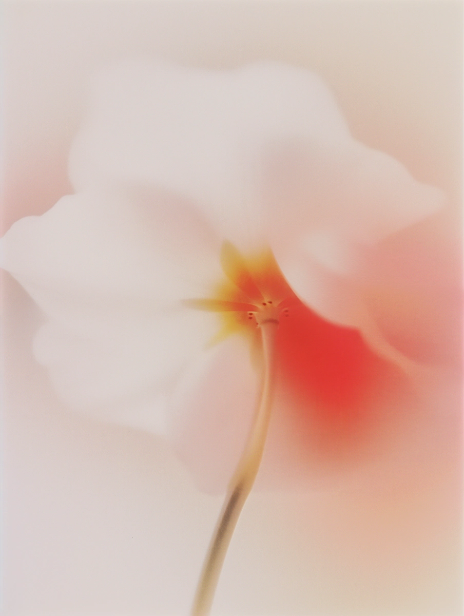 Artwork 5
