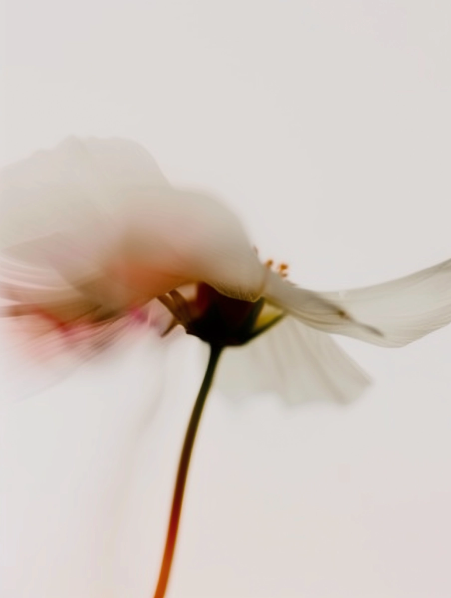 Artwork 6