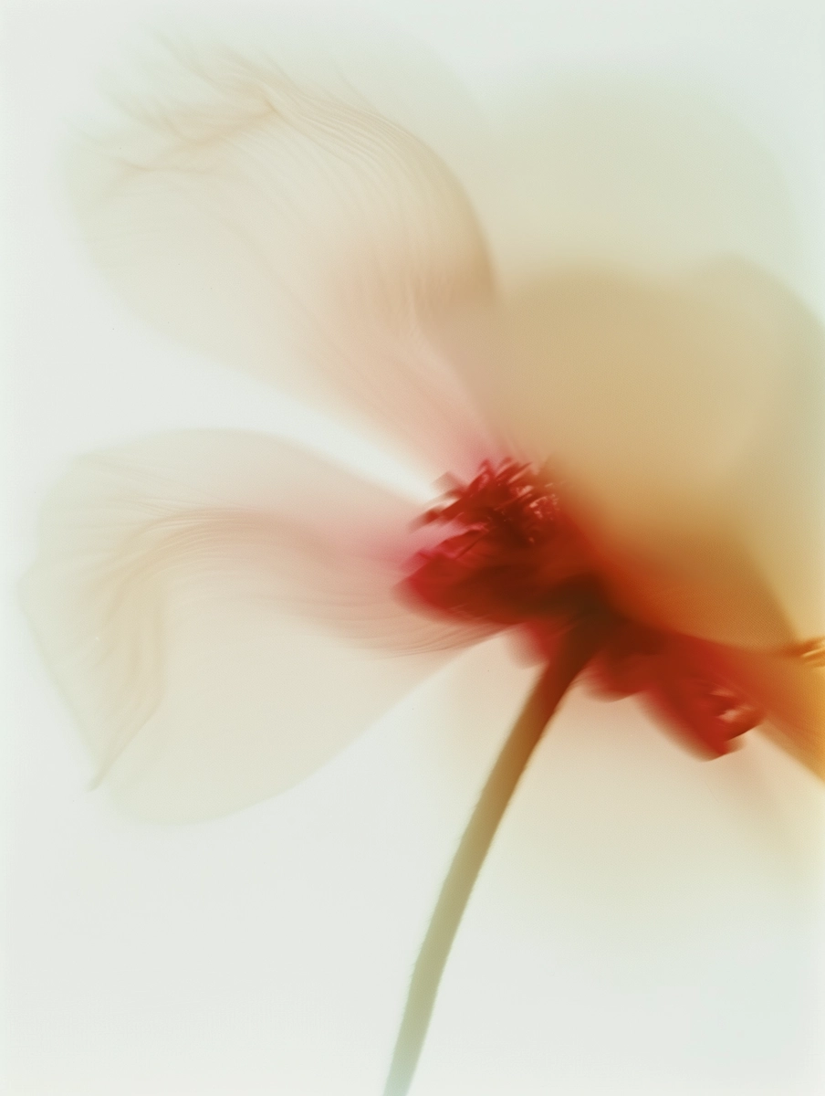 Artwork 8